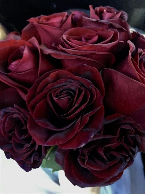 Black magic roses bouquet with filler flowers